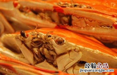 梭子蟹不能和什么一起吃会中毒 梭子蟹不能和什么一起吃