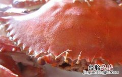 孕妇可以吃梭子蟹吗 孕妇可以吃梭子蟹吗晚期