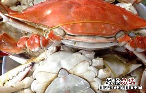 孕妇可以吃梭子蟹吗 孕妇可以吃梭子蟹吗晚期