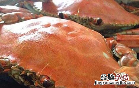 孕妇可以吃梭子蟹吗 孕妇可以吃梭子蟹吗晚期