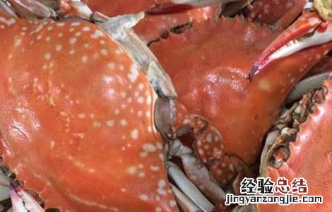 梭子蟹死了能吃吗 梭子蟹死了能吃吗有毒吗