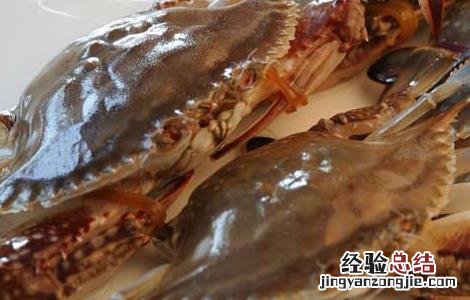 梭子蟹死了能吃吗 梭子蟹死了能吃吗有毒吗