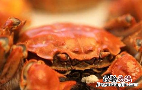 大闸蟹和什么相克的东西 大闸蟹和什么相克