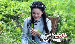 忍冬艳蔷薇何秀是什么电视剧 已经播出了吗