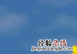 葵花怎么种植 葵花怎么种