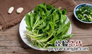 荠菜怎么做好吃又简单 荠菜怎么做好吃