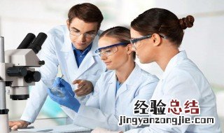 什么食物里含萃枫苷 含萃枫苷的食物介绍