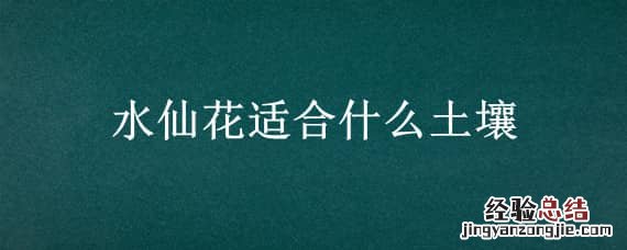 水仙花的土壤 水仙花适合什么土壤