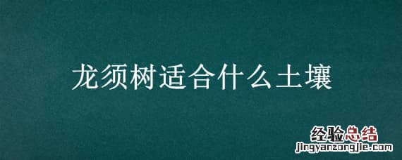 龙须树地栽好吗 龙须树适合什么土壤?