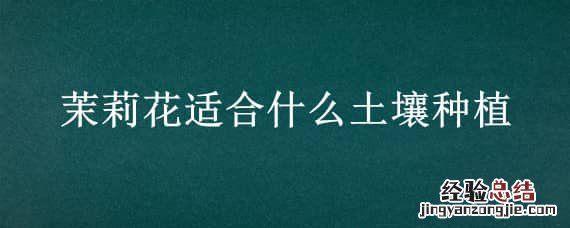 茉莉花适合什么土壤种植 茉莉花用什么土种植最好