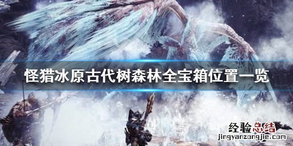 怪物猎人世界冰原古代树森林全宝箱位置一览 古代树森林宝箱_网
