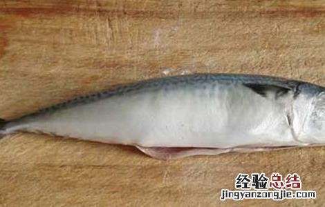鲅鱼不能和什么一起吃会中毒 鲅鱼不能和什么一起吃