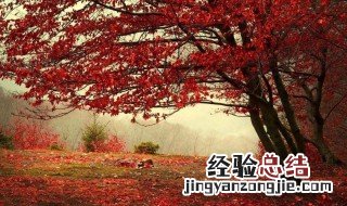 香山公园红叶什么时候看最好 香山公园几月份有红叶