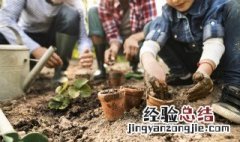 模拟人生4怎么种植物 模拟人生4怎么种植物赚钱