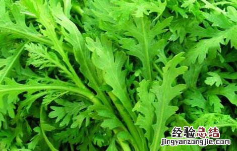 孕妇能吃茼蒿吗晚期 孕妇能吃茼蒿吗