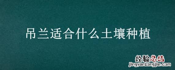 吊兰种植用什么土壤 吊兰适合什么土壤种植