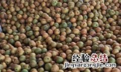 梨酒酿造工艺 蒸馏梨酒的酿制方法