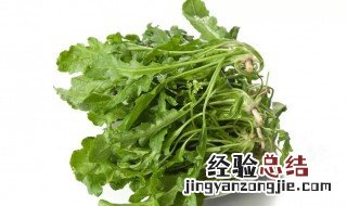荠菜的食用 荠菜的吃法有哪些
