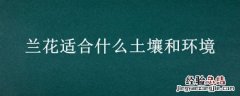 兰花适合什么土壤和环境 盆栽兰花的土壤有什么要求