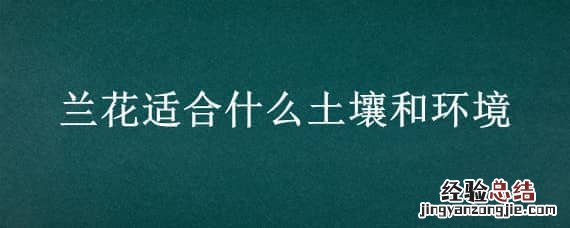 兰花适合什么土壤和环境 盆栽兰花的土壤有什么要求