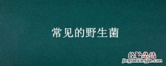 常见的野生菌 常见的野生菌菇