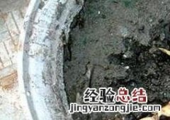 碗莲藕根如何养殖视频 碗莲藕根如何养殖