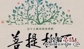 电视剧菩提树下演员表 菩提树下演员表