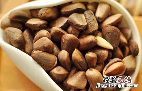 孕妇能吃松子吗? 孕妇能吃松子吗