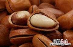 孕妇能吃松子吗? 孕妇能吃松子吗
