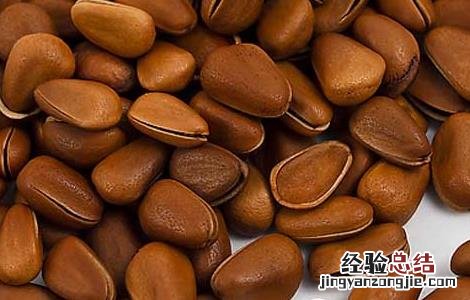 孕妇能吃松子吗? 孕妇能吃松子吗