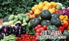 常见的蔬菜有哪些 常见的蔬菜有哪些图片