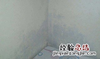 卫生间墙壁发霉怎么处理 实用方法介绍