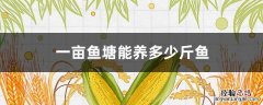 一亩鱼塘能养多少斤鱼苗 一亩鱼塘能养多少斤鱼