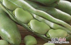 蚕豆有毒吗?吃蚕豆中毒了怎么办? 蚕豆有毒吗