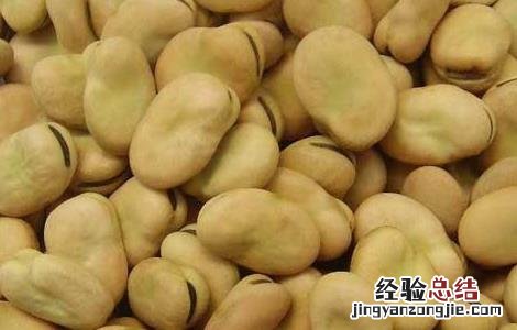 蚕豆和什么不能一起吃会中毒 蚕豆和什么不能一起吃
