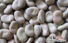 蚕豆和什么不能一起吃会中毒 蚕豆和什么不能一起吃