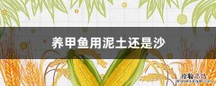 养甲鱼用泥土还是沙 甲鱼喜欢沙土还是泥土
