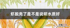 虾脱壳了是不是说明水质好 如何判断虾要脱壳了
