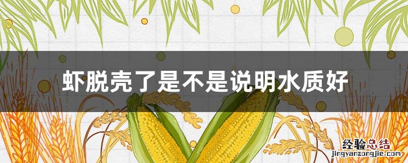 虾脱壳了是不是说明水质好 如何判断虾要脱壳了