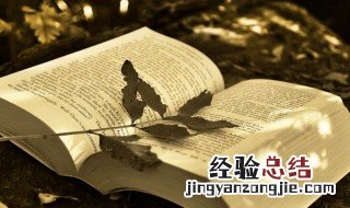叔仲伯季是什么意思 伯仲叔季的意思