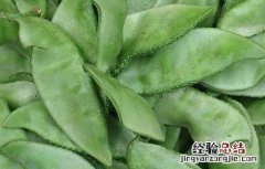 扁豆能生吃吗 扁豆不能吃吗