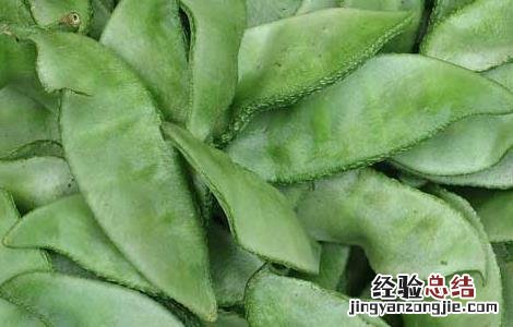 扁豆能生吃吗 扁豆不能吃吗