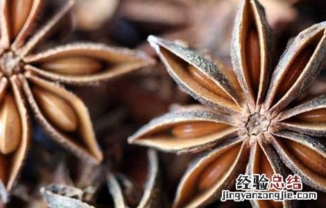 孕妇可以吃大料吗 孕妇可以吃大料吗炖肉的时候