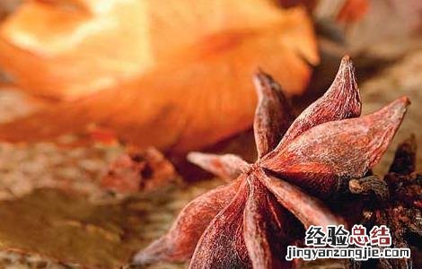 孕妇可以吃大料吗 孕妇可以吃大料吗炖肉的时候