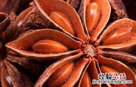 孕妇可以吃大料吗 孕妇可以吃大料吗炖肉的时候