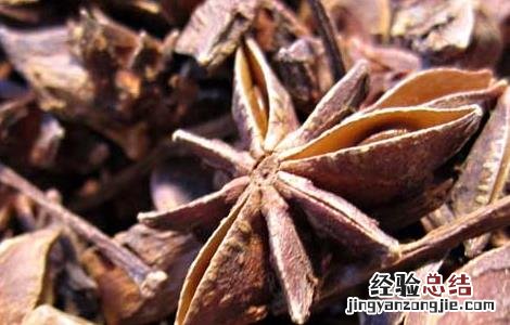 孕妇可以吃大料吗 孕妇可以吃大料吗炖肉的时候