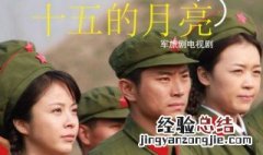十五的月亮是什么电视剧 十五的月亮电视剧类型