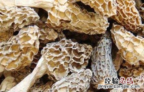 孕妇能吃羊肚菌吗晚期 孕妇能吃羊肚菌吗