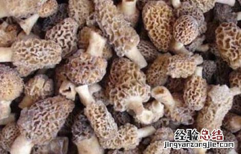 孕妇能吃羊肚菌吗晚期 孕妇能吃羊肚菌吗