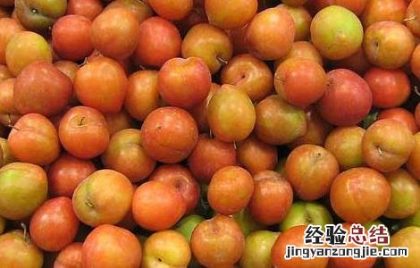 李子和什么不能一起吃栗子 李子和什么不能一起吃